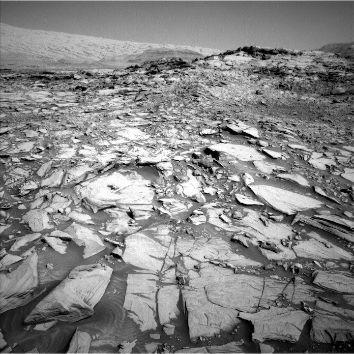 nlb-636747372edr-f0790360ncam00253m-