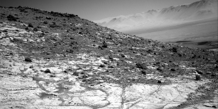 nrb-631138872edr-s0781002ncam00594m-