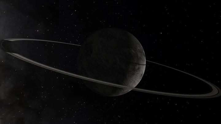 planeten-rind