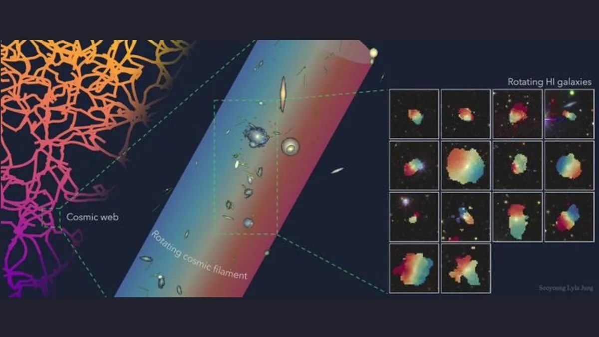 q6g59qomk4vvwzxnkjbknu-1200-80