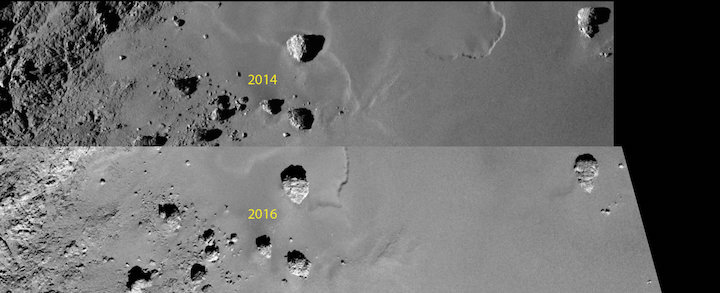 rosetta-zoo-comparison-image-pillars