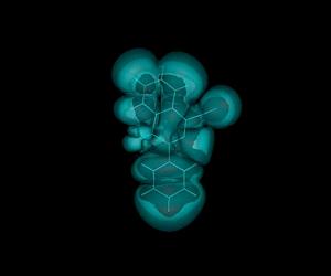 rotor-molecules-in-thick-solut