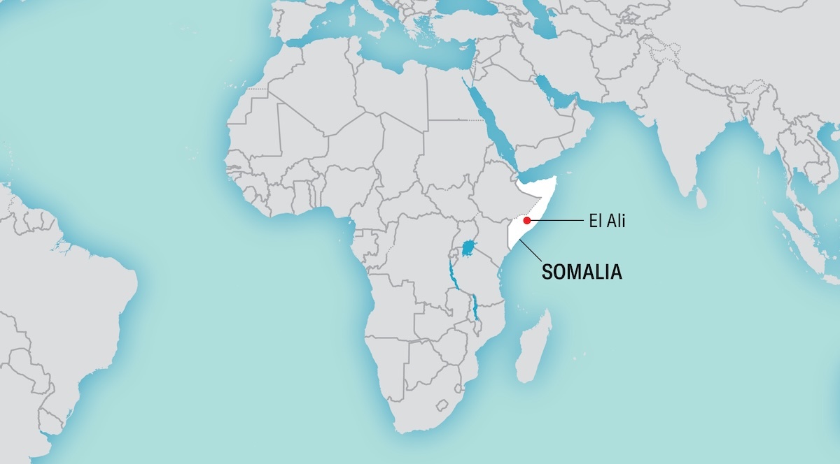 saw1125verg31-d-text