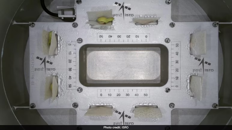 sbum6pjg-isro-cowpea-seed-experiment-625x300-04-january-25-1