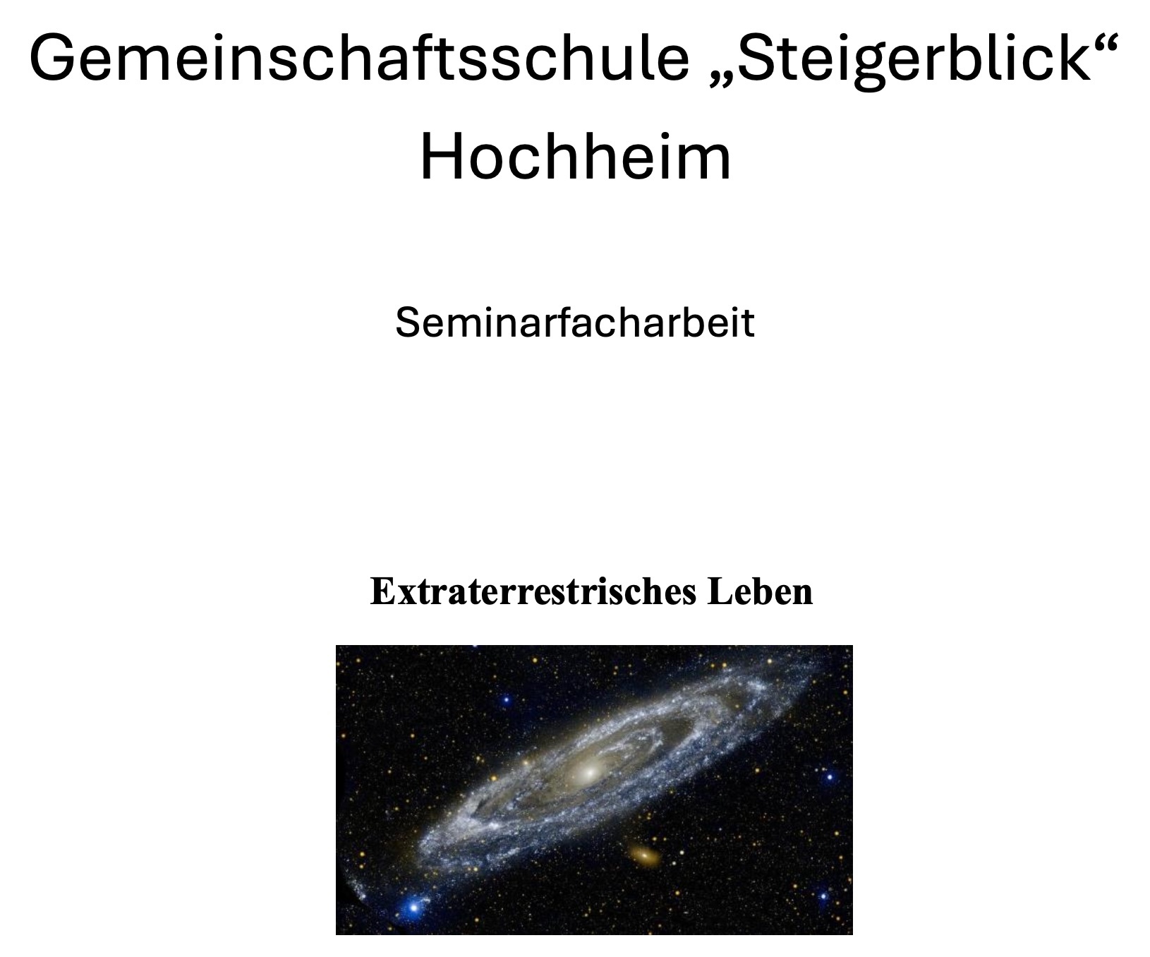 seminarfacharbeit-aa-1