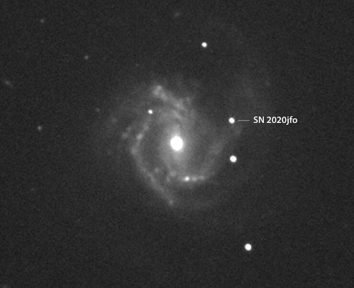 sn-2020jfo-messier61-8may2020-gianluca-masi-label-739x600