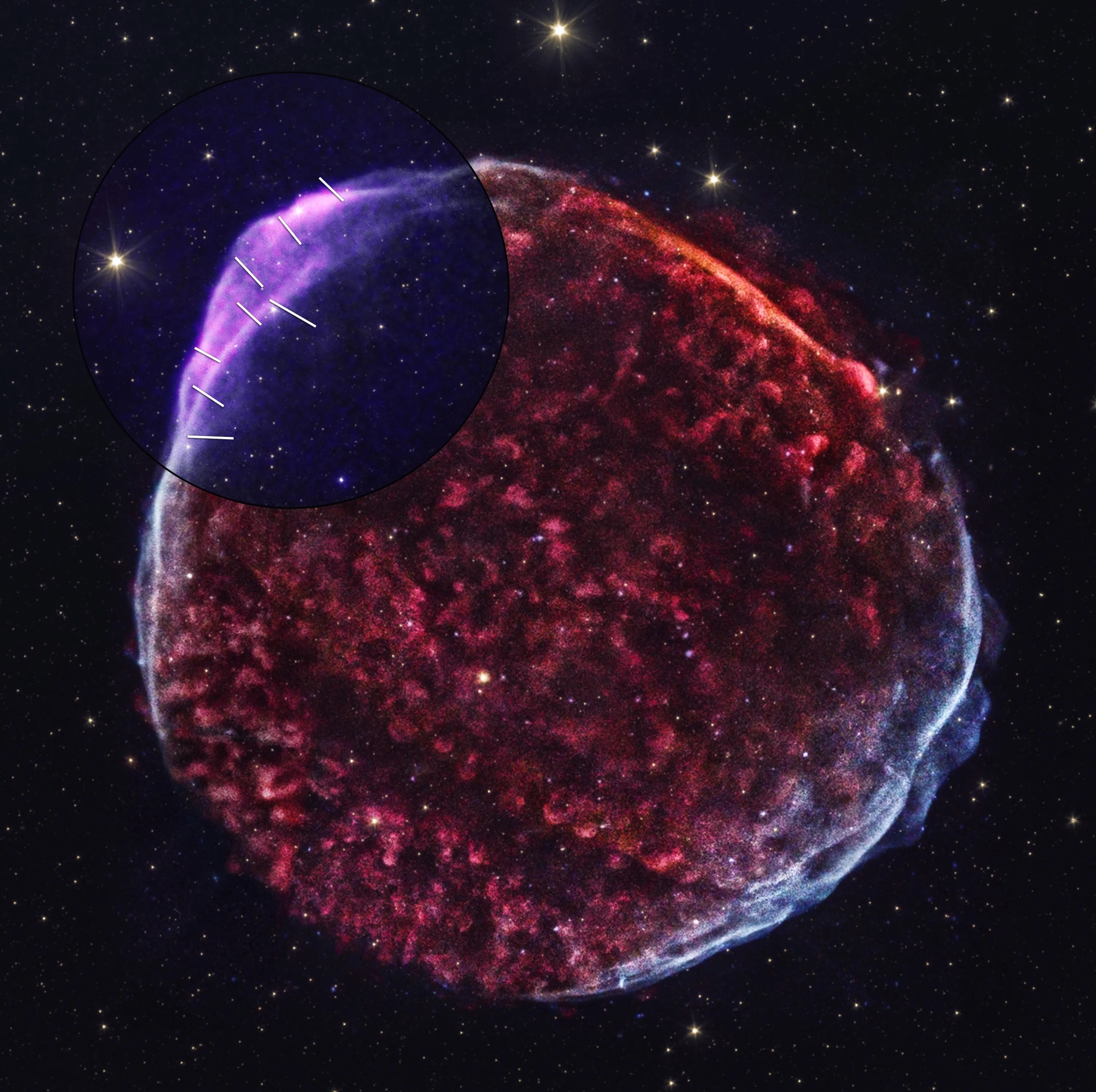 sn1006