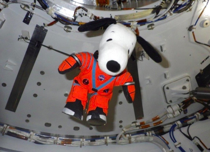 snoopy-orion