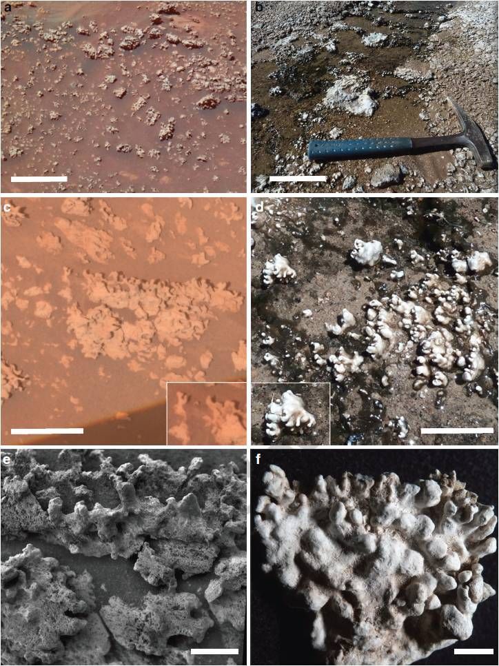 spirit-possible-mars-biosignat