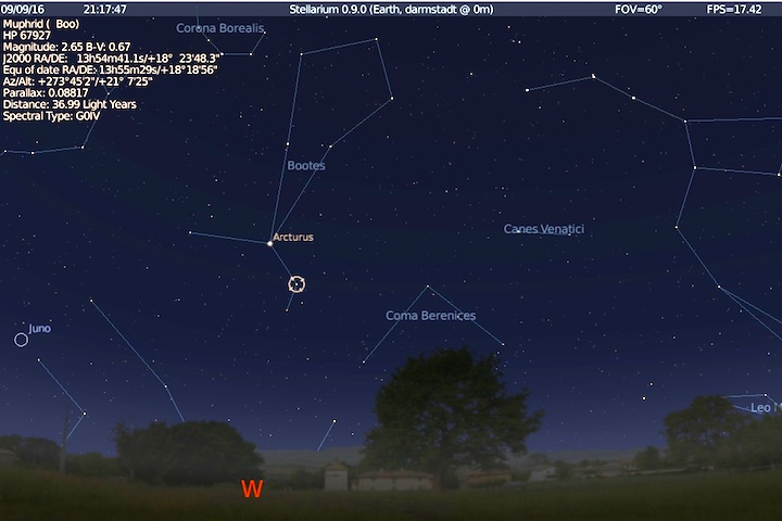 stade-arcturus