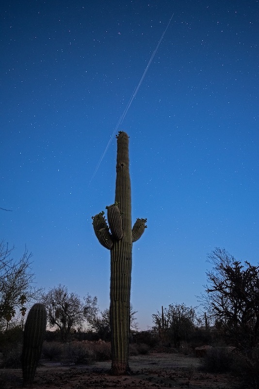 starlink-trail-saguaro-rogeroban-tucon-arizona-may5-2021