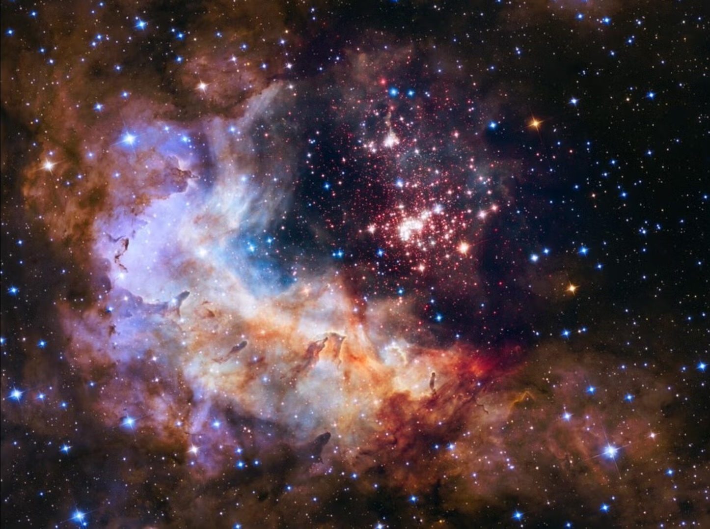 stsci-01evvcb2xhgzxymwp0n0mfkz4y-1