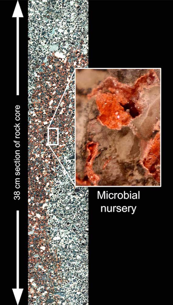 subterranean-microbial-nursery-chicxulub-crater-800w