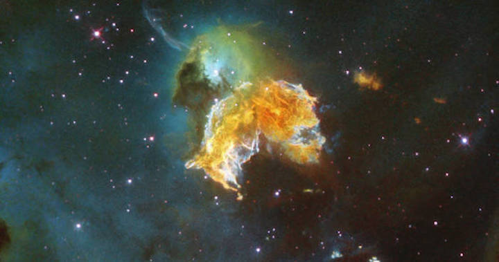 supernovashark-news1-bl-1