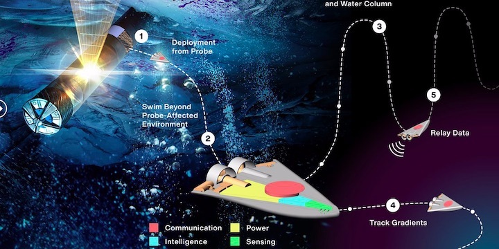 swarm-of-tiny-swimming-robots-could-look-for-life-on-distant-worlds