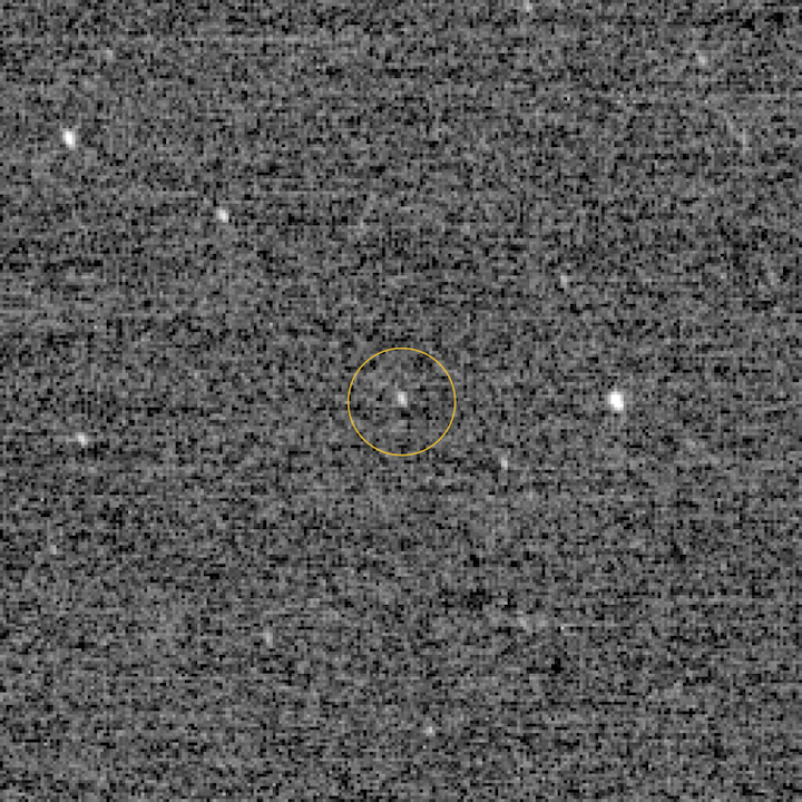 ut-first-1x1-detection