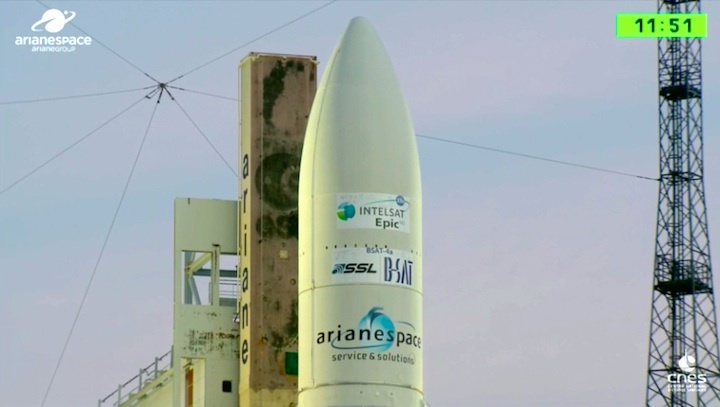 va239-aa
