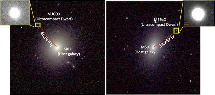 vucd3-m59co-merge